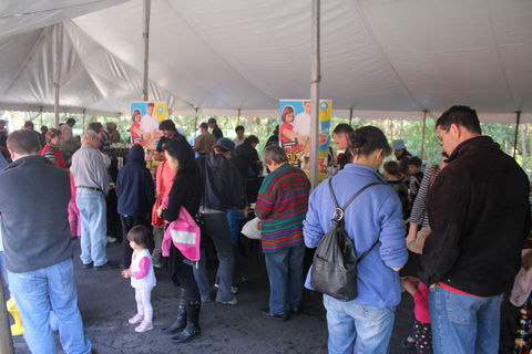 Wildflower Art And Garden Festival - Accommodation NT 0