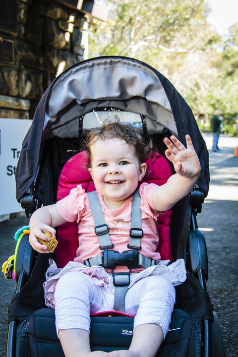 Wildflower Art And Garden Festival - Accommodation NT 2