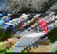 All Season Cold Climate Organic Vegetable Growing - Accommodation NT