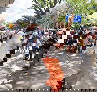 Australian National Busking Championships - Accommodation NT