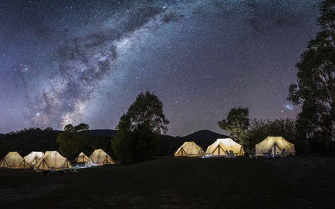A Wild Night Out - Spring - NT Tourism 6