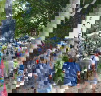 Bellingen Community Markets - Accommodation NT