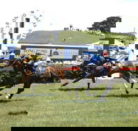 Bong Bong Picnic Races - Accommodation NT