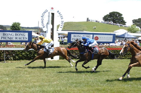 Bong Bong Picnic Races - Accommodation NT 0