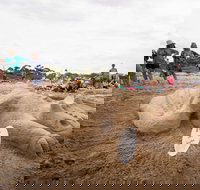 Broulee New Year's Eve Sandcastles and Sculptures - Accommodation NT