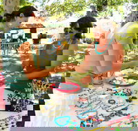 Coonabarabran Townlife Markets - Accommodation NT