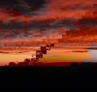 Cottontail Wines Christmas Day Lunch - Accommodation NT