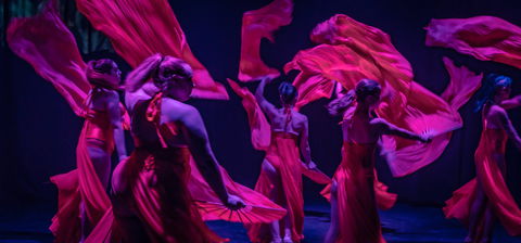 Darwin Fringe Festival - Accommodation NT 1