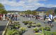 Hobart Showground Sunday Market - Weekly - thumb 0