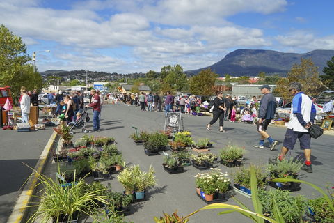 Hobart Showground Sunday Market - Weekly - Accommodation NT 0