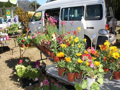 Johns River Country Markets - NT Tourism 0