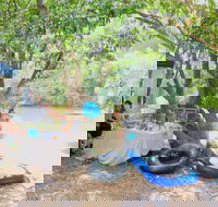 Jungle Love Festival - Accommodation NT