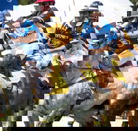 Land Rover Polo in the City Brisbane - Accommodation NT