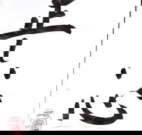 Learn Japanese calligraphy