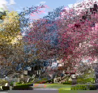 Leura Gardens Festival - Cancelled - Accommodation NT