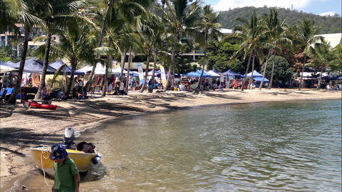 Lions Airlie Beach Community Markets - Accommodation NT 0
