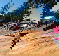 Maleny Wood Expo From Seed to Fine Furniture - Accommodation NT