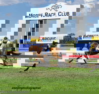 Moree Race Club TAB Race Day - Accommodation NT