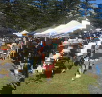 Palm Beach Market