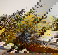 Pomonal Native Flower Show - Accommodation NT