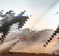 Rodeo by the Sea - Streaky Bay - Accommodation NT