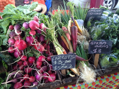 South Geelong Farmers Market - Accommodation NT 0