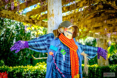 Tamborine Mountain Scarecrow Festival - Accommodation NT 1