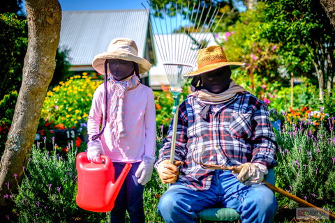 Tamborine Mountain Scarecrow Festival - Accommodation NT 2