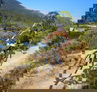 TreX Cross Triathlon Series  Snowy Mountains - Accommodation NT