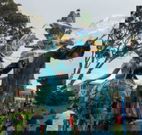 Tulip Festival Wynyard - Accommodation NT