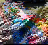 Wynyard Foreshore Market - Accommodation NT