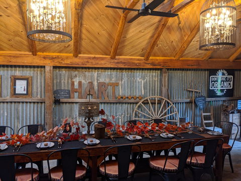 Friday Long Lunch @  Hart Of The Barossa Tasting Shed - Accommodation NT 0