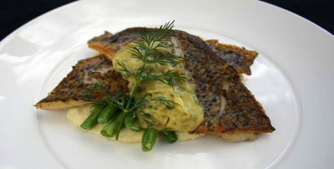 Aquarius Seafood Restaurant - NT Tourism 2