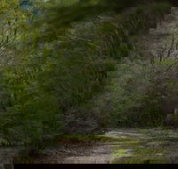 Yering Gorge Cottages - Accommodation NT