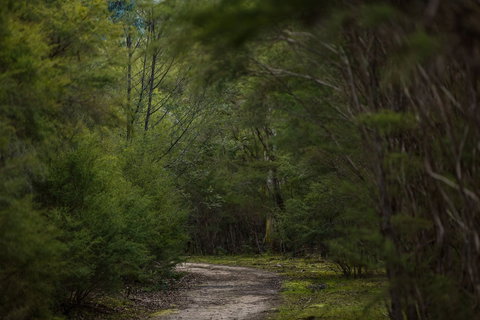 Yering Gorge Cottages - Accommodation NT 0