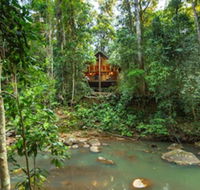 The Canopy Rainforest Treehouses and Wildlife Sanctuary - Accommodation NT