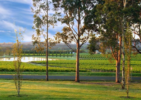 Estate Tuscany - Accommodation NT 6