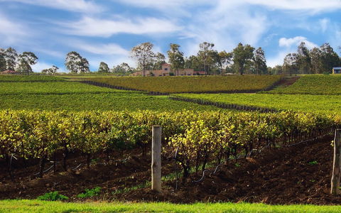 Estate Tuscany - Accommodation NT 3