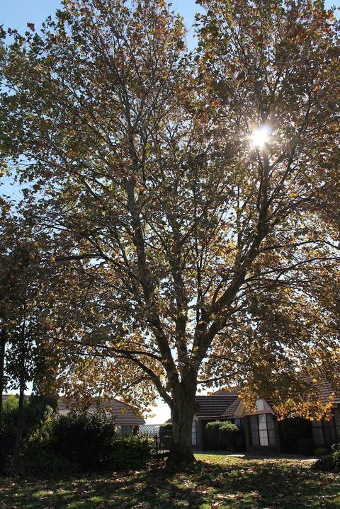 Airport Motel Sir Francis Drake - Accommodation NT 3