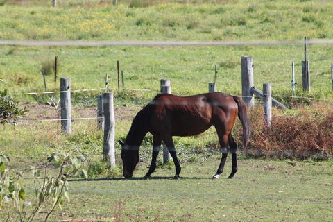 Airport Motel Sir Francis Drake - Accommodation NT 0