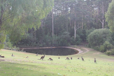 Marima Cottages - Accommodation NT 7