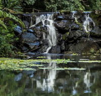 Kondalilla Eco Resort - NT Tourism