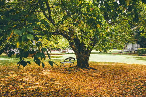 Federation Gardens & Possums Hideaway - Accommodation NT 6
