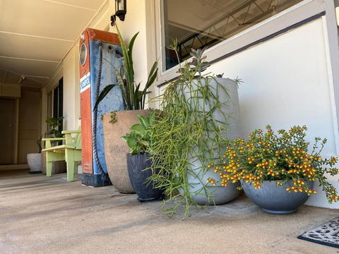 Ben Hall Motor Inn - Accommodation NT 5