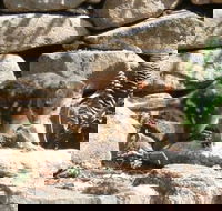 Jenolan Caves House - Accommodation NT
