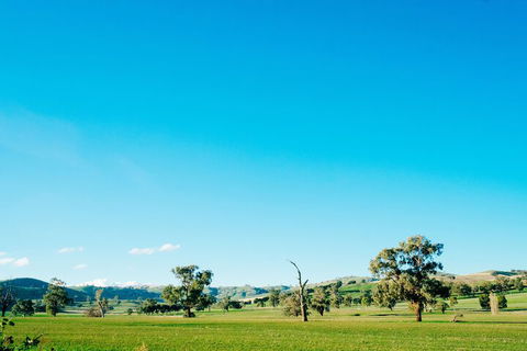 Kimo Estate - Accommodation NT 3