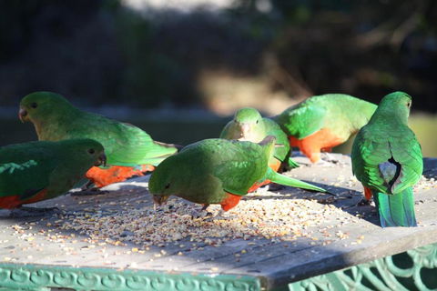 Omeo Motel - Accommodation NT 4