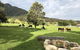 ARCADIA - The Barn Cottage & Rosehill Cottage - thumb 3