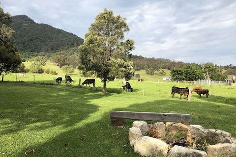 ARCADIA - The Barn Cottage & Rosehill Cottage - NT Tourism 3