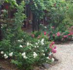 Maldons Eaglehawk Motel - Accommodation NT